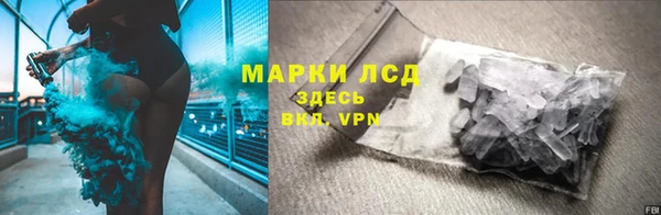 сатива Балахна
