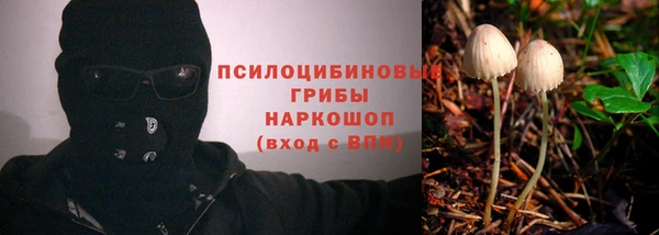 ALPHA-PVP Баксан