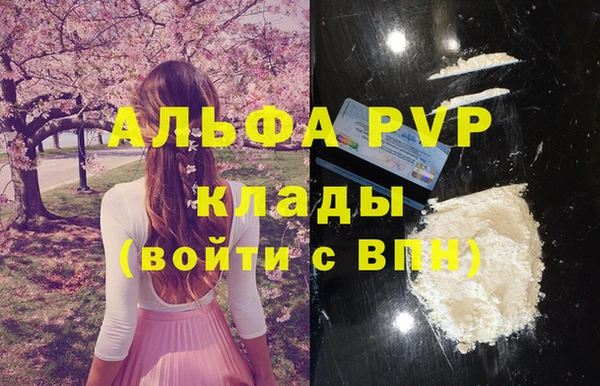 сатива Балахна