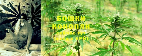 сатива Балахна