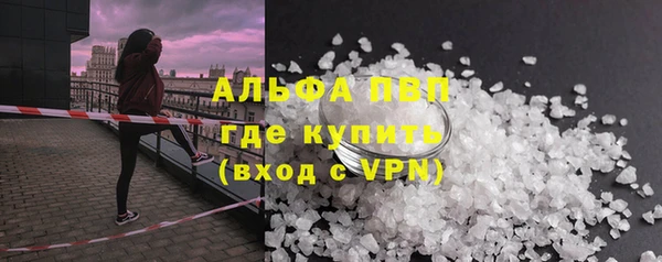 сатива Балахна