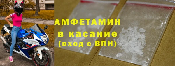 сатива Балахна