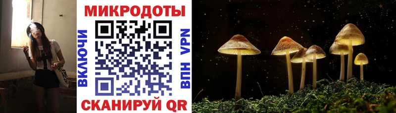 купить наркоту  Темников  ссылка на мегу ссылка  Псилоцибиновые грибы Psilocybe 